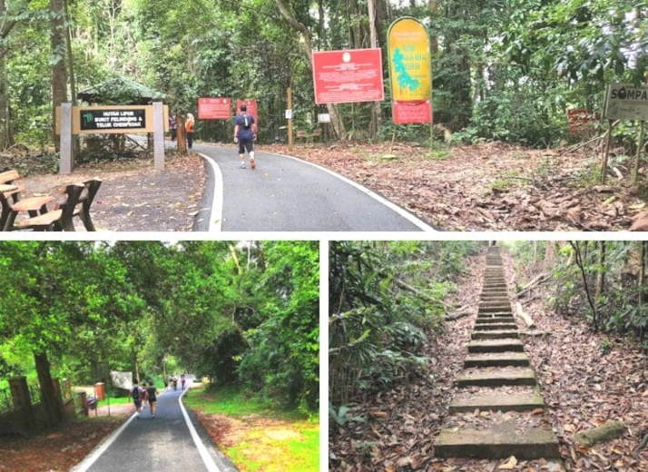 hiking di hutan lipur bukit pelindung