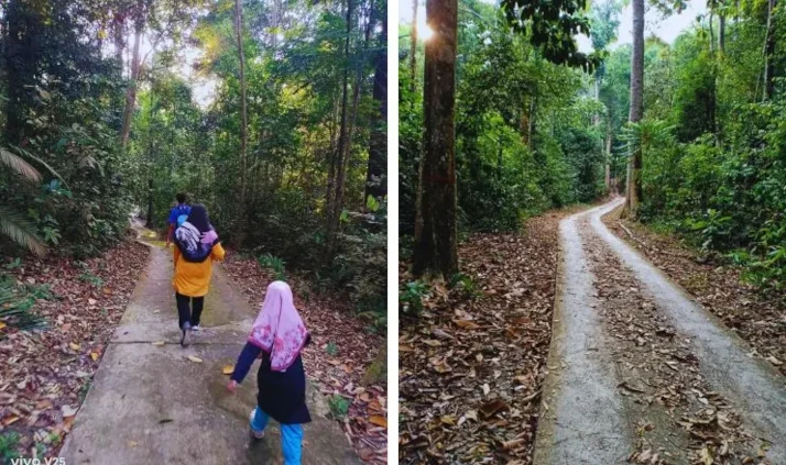 tempat jungle trekking di melaka