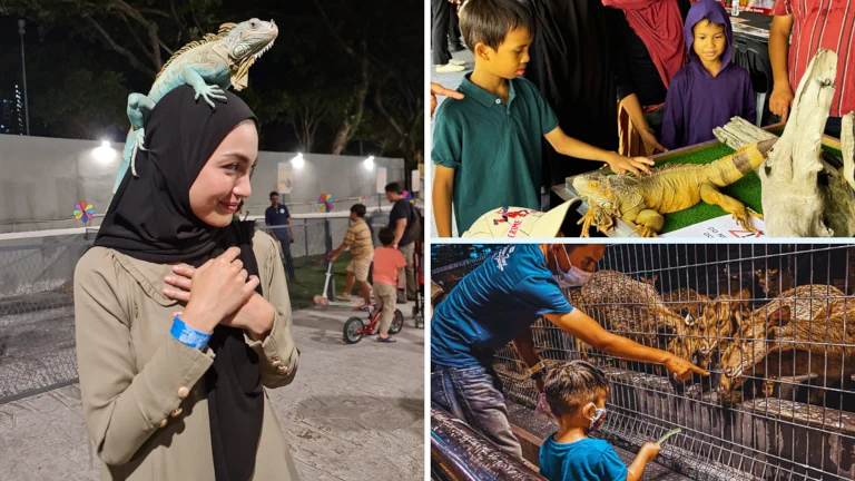 Zoo & Taman Haiwan di Kuala Lumpur - 99 Wonderland Park 