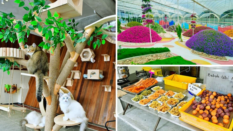 tempat shopping di cameron highlands