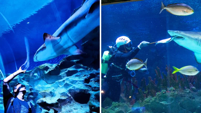 tempat-menarik-di-kl-untuk-keluarga 