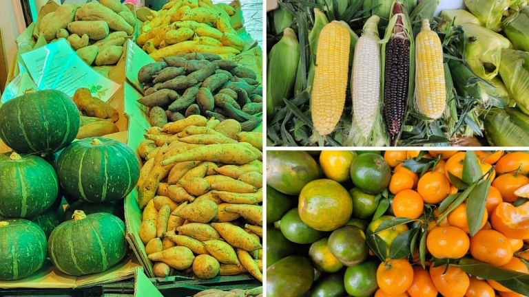 Tempat Shopping sayur buah segar di Cameron Highlands