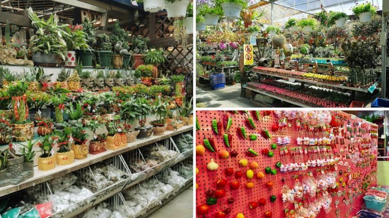 farmers-arcade-cameron-highlands-gerai-tempatan