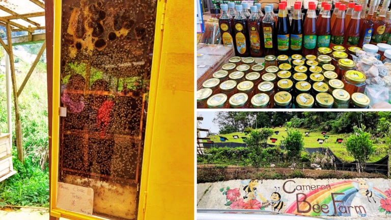 beli madu asli di Highlands Apiary Farm Ringlet