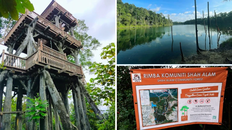 Tempat Jungle Trekking di Shah Alam Selangor