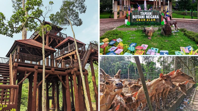 tempat aktiviti outdoor menarik di shah alam