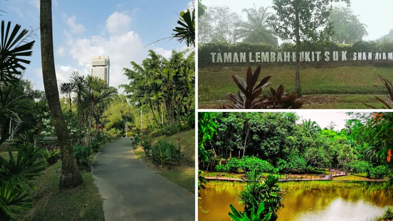 taman lembah bukit suk shah alam trekking santai