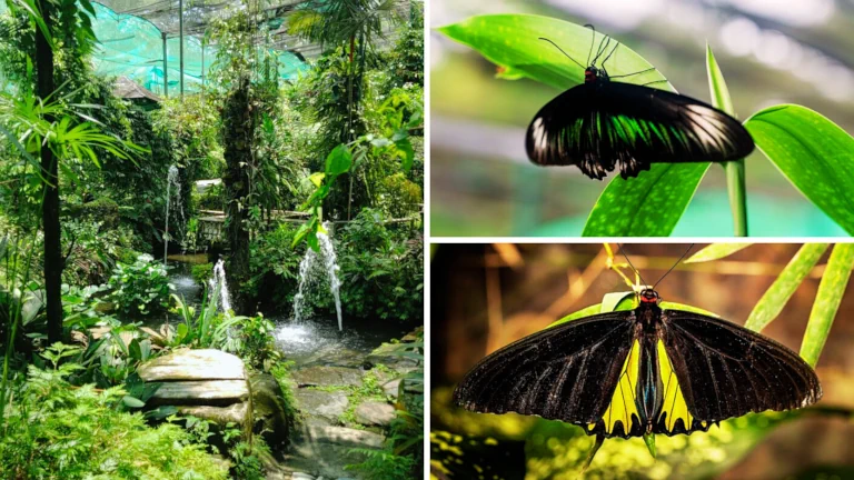 taman-rama-rama-kl-tempat-menarik-yang-jarang-orang-tahu 