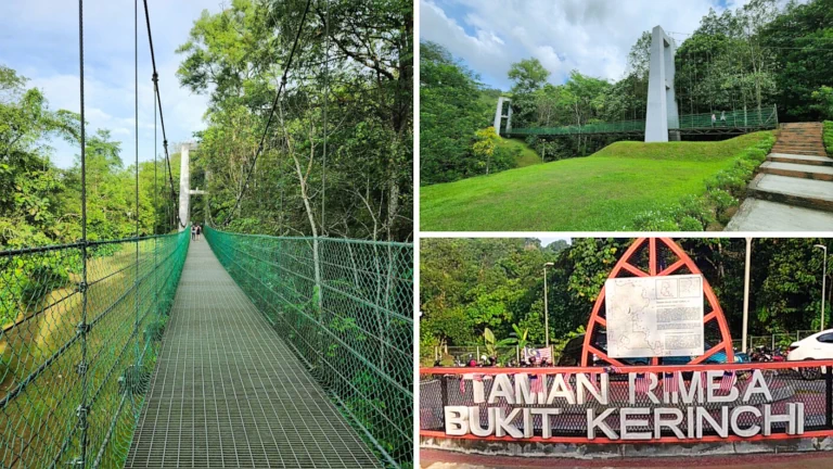 tempat-nature-walk-hiking-kuala-lumpur 