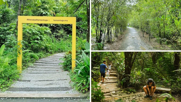 Taman Tugu - Hutan Bandar Mesra Hiking & Healing 