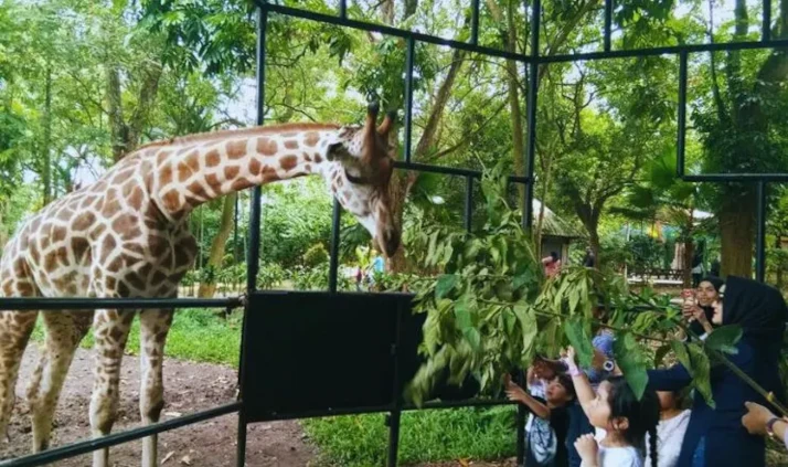 zoo melaka night safari