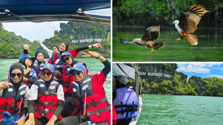 kilim-geoforest-park-langkawi-boat-tour-nature