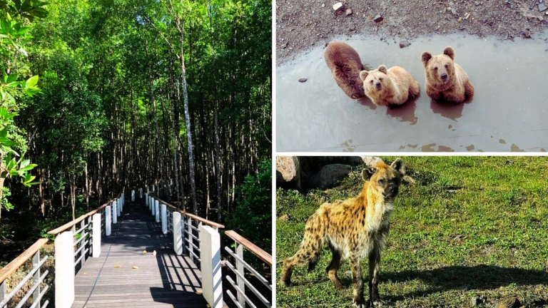 spot-lawatan-edukatif-di-langkawi-nature-park