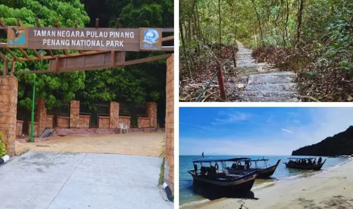 taman negara pulau pinang best