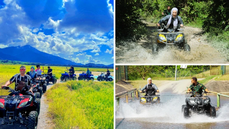 aktiviti-lasak-di-langkawi-atv-red-paddy-trail