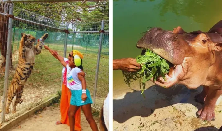 safari wonder land tengok haiwan liar melaka