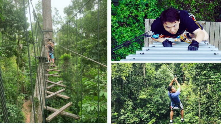 aktiviti-outdoor-di-langkawi-yang-menarik-skytrex-adventure