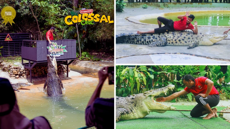 aktiviti-edukatif-di-langkawi-crocodile-adventureland