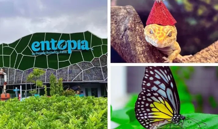 taman haiwan entopia by butterfly farm penang