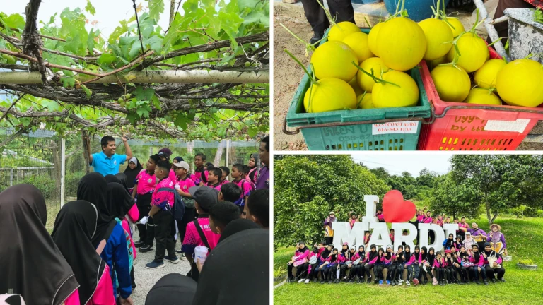 aktiviti-menarik-cuti-sekolah-di-langkawi