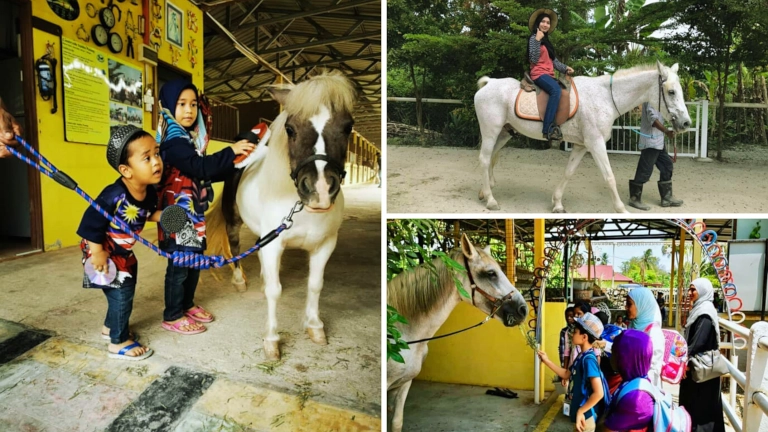 tempat menunggang kuda di penang