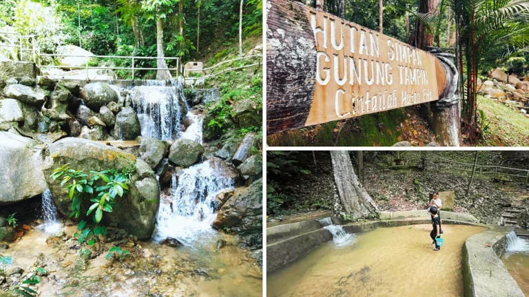 bukit-tampin-waterfall-cascade-hutan-tropika 