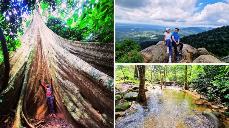 hutan-lipur-gunung-datuk-tempat-hiking-view-360 