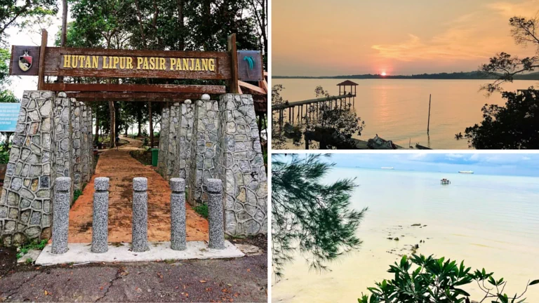tempat-picnic-hutan-lipur-view-laut-pasir-panjang 