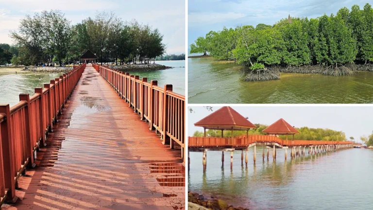 pulau-burong-port-dickson-jambatan-menara-tinjau-bird-watching 