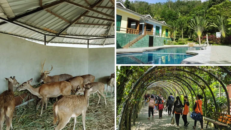 agro-pelancongan-perak