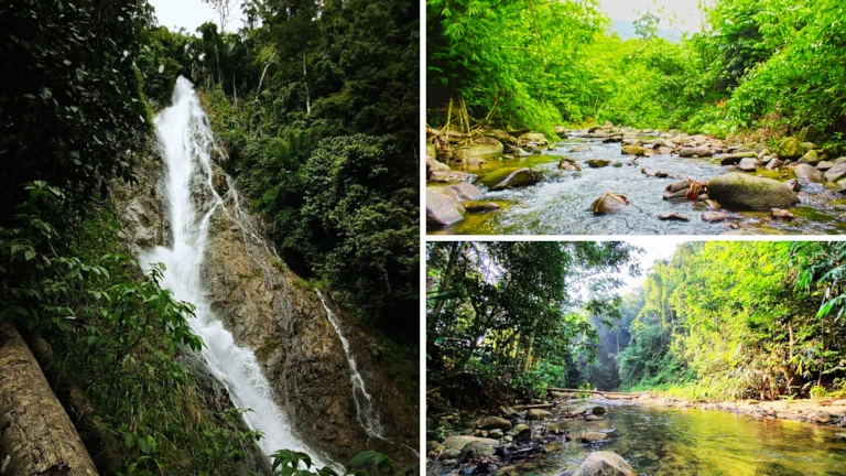 taman-alam-liar-kenaboi-hutan-tropika-air-terjun 