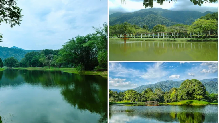 tempat-menarik-untuk-healing-taman-tasik-taiping